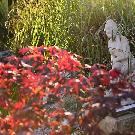 Chez Pique-fesse D'hote 3*